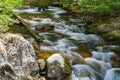 Jennings Creek, a Poplular Trout Stream Royalty Free Stock Photo