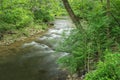 Jennings Creek a Popular Trout Stream - 5 Royalty Free Stock Photo