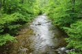 Jennings Creek a Popular Trout Stream