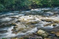 Jennings Creek, Botetourt County, Virginia, USA