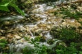 Jennings Creek a Popular Trout Stream - 3 Royalty Free Stock Photo