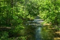 Jennings Creek a Popular Trout Stream - 4 Royalty Free Stock Photo