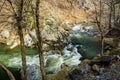A Wild Mountain Trout Stream Royalty Free Stock Photo