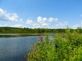 Jennings Pond in summer in Danby FingerLakes NYS