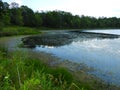 Jennings Pond in the FingerLakes on overcast summer day