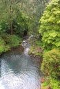 Jenolan River downstream