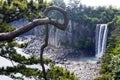 Jeongbang waterfall, Jeju Island, South Korea Royalty Free Stock Photo