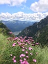 Jepii Mici Valley in Bucegi Mountains Royalty Free Stock Photo