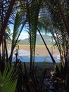 Jerai Mountain from Nira Tree Restaurant