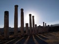 Jerash columns iii Royalty Free Stock Photo