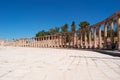 Jerash, Gerasa, square, oval plaza, columns, ruins, archeology, Jordan, Middle East