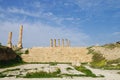 Jerash Ruins - Amman - Jordan