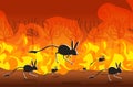 Jerboas silhouettes running from forest fires in australia animals dying in wildfire bushfire burning trees natural