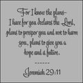 Jeremiah 29:11- For I know the plans I have for you declares the Lord vector on gray background for Christian encouragement from t