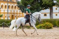 Jerez de la Frontera, Cadiz, Spain - June 17, 2021: Rider performing training exercises with a purebred Andalusian white horse