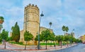 Octagonal tower of Alcazar fortress, Jerez, Spain Royalty Free Stock Photo