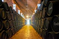 The long row of sherry casks, Bodegas Tio Pepe winery, Jerez, Spain