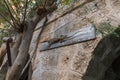 Stuffed Jordanian Varan attached to a wall in the courtyard of the monastery of Gerasim Jordanian - Deir Hijleh - in the Judean Royalty Free Stock Photo