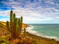 Jericoacoara Beach