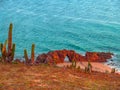 Jericoacoara Beach Royalty Free Stock Photo