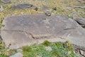 Jermuk, Armenia, mountain plateau near Jermuk city at an altitude of 3200 meters Royalty Free Stock Photo