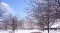 JERSEY CITY, NEW JERSEY, USA - MARCH 22, 2018: branches of dry wood trees in spring time. Field covered with snow Royalty Free Stock Photo