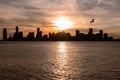 Jersey City New Jersey Skyline Silhouette during a Beautiful Sunset along the Hudson River with a Seagull Royalty Free Stock Photo