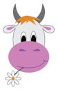 Jersey cow with a flower in its mouth looks cute vector or color illustration Royalty Free Stock Photo