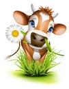 Trikot krava v tráve 
