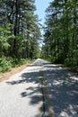Jersey Pine Barrens Country Road