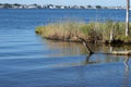 Jersey Shore Marshes and Wetlands Royalty Free Stock Photo