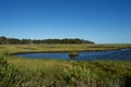 Jersey Shore Marshes and Wetlands Royalty Free Stock Photo