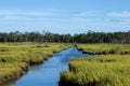 Jersey Shore Marshes and Wetlands Royalty Free Stock Photo