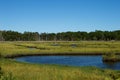 Jersey Shore Marshes and Wetlands Royalty Free Stock Photo