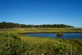 Jersey Shore Marshes and Wetlands Royalty Free Stock Photo