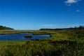 Jersey Shore Marshes and Wetlands Royalty Free Stock Photo