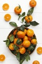 Jeruk Santang Madu Mandarin Orange Citrus sinensis