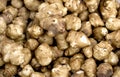 Jerusalem artichoke Royalty Free Stock Photo