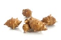 Jerusalem artichoke Royalty Free Stock Photo