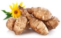 Jerusalem artichoke Royalty Free Stock Photo