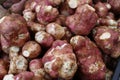 The Jerusalem artichoke Helianthus tuberosus a root vegetable, also called sunroot, sunchoke, earth apple or topinambour, found Royalty Free Stock Photo