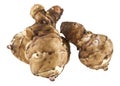 Jerusalem artichoke isolated on white background Royalty Free Stock Photo