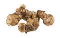 Jerusalem artichoke isolated on white background Royalty Free Stock Photo