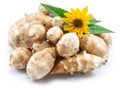 Jerusalem artichoke roots with leaves and flower of Jerusalem artichoke isolated on white background