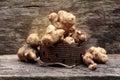 Jerusalem artichoke, small sunflower roots