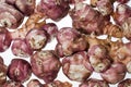 Jerusalem artichoke- stock image