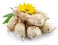 Jerusalem artichoke on a white background. Royalty Free Stock Photo