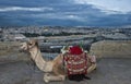 Jerusalem and camel