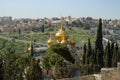 Golden domes of the Church of Mary Magdalene