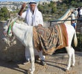 Arab man in national clothes and his donkey
